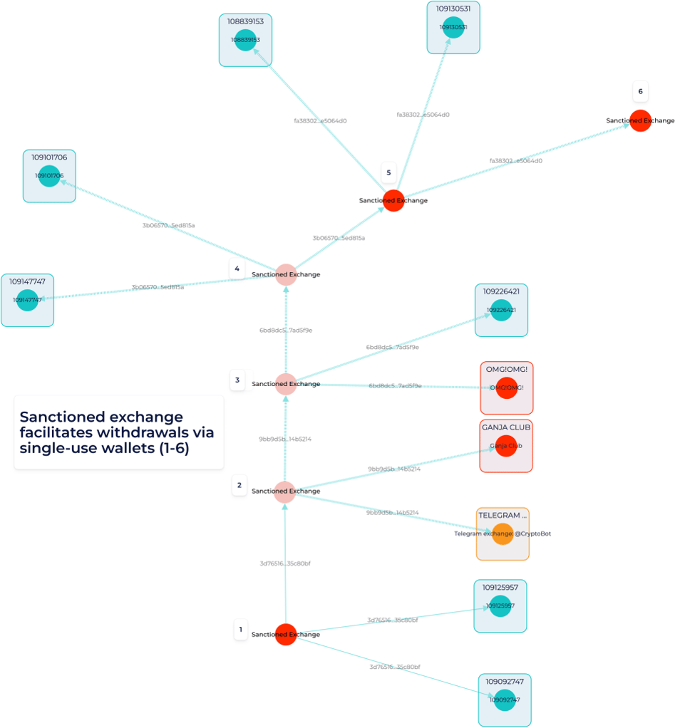 Screenshot from GL Vision showing withdrawals via single-use wallets in the Bitcoin network 